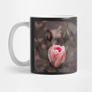 Macro Pinky Rose Mug